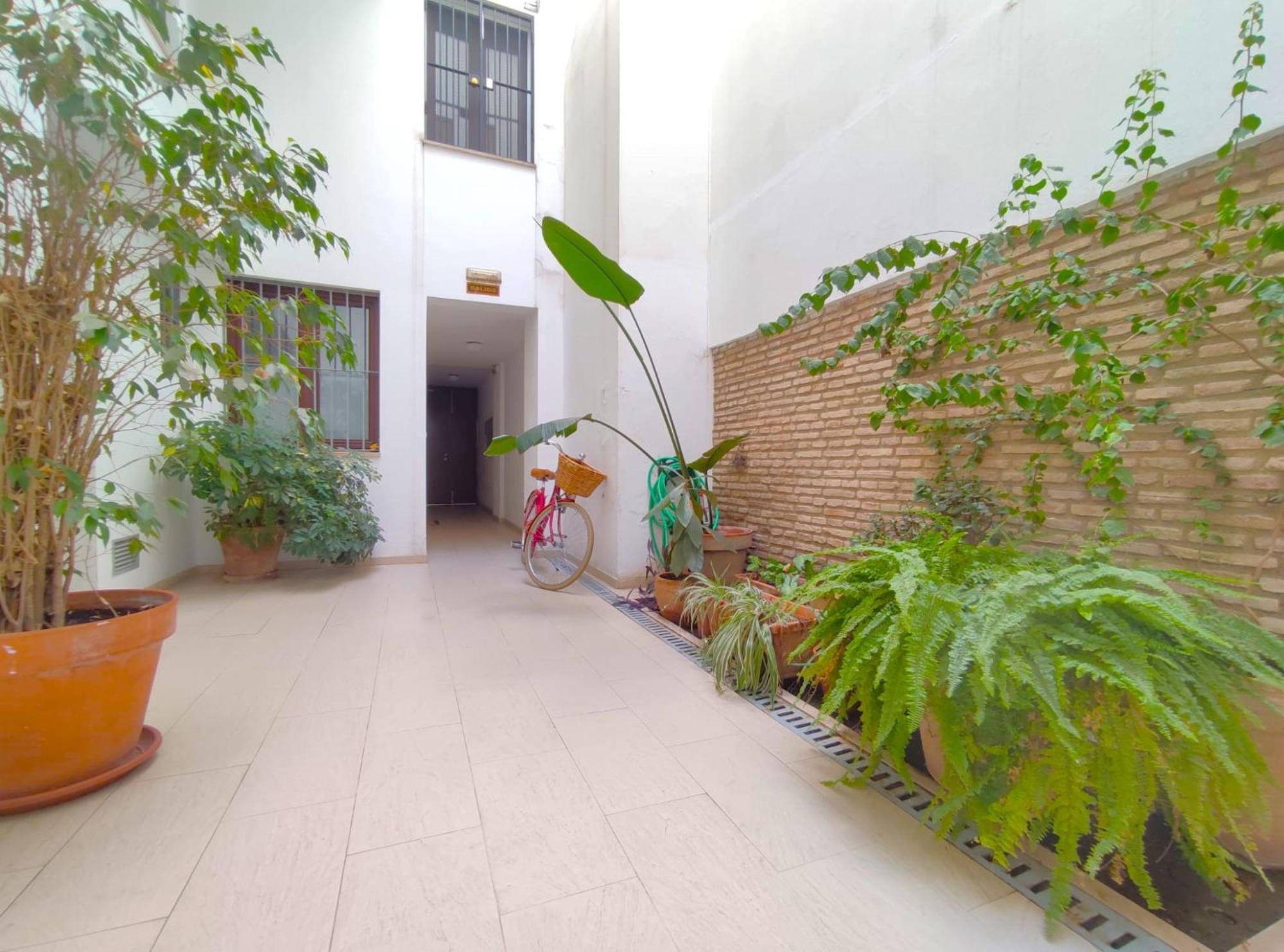Apartamento Alfaqueque *